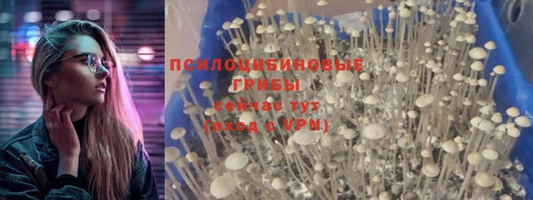 MESCALINE Михайловск