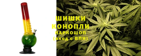прущие крисы Белокуриха
