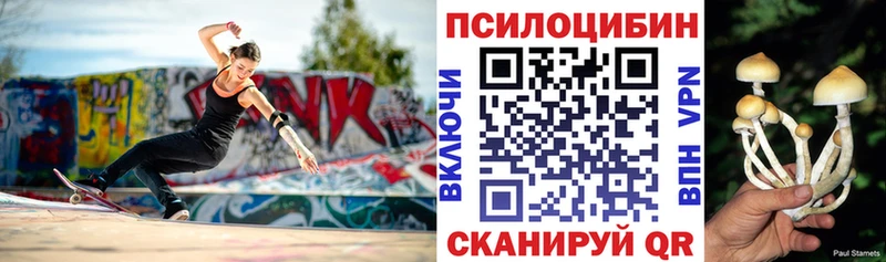 Псилоцибиновые грибы GOLDEN TEACHER  маркетплейс официальный сайт  Бирюсинск 
