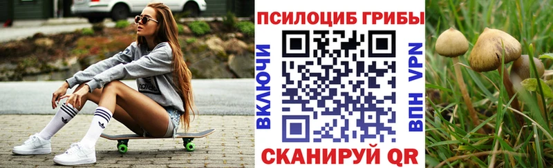 Галлюциногенные грибы прущие грибы Бирюсинск